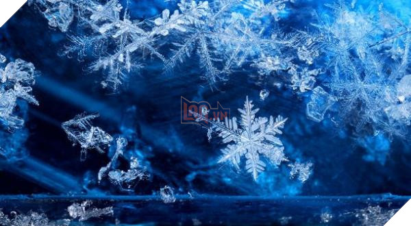 snowflakes group 610x335