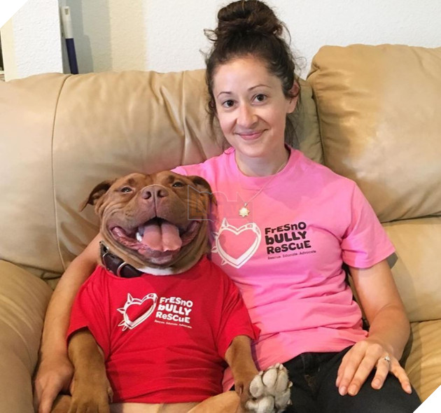 Được nhận nuôi từ trai cứu hộ, chú chó luôn luôn cười khi có ống kính 4