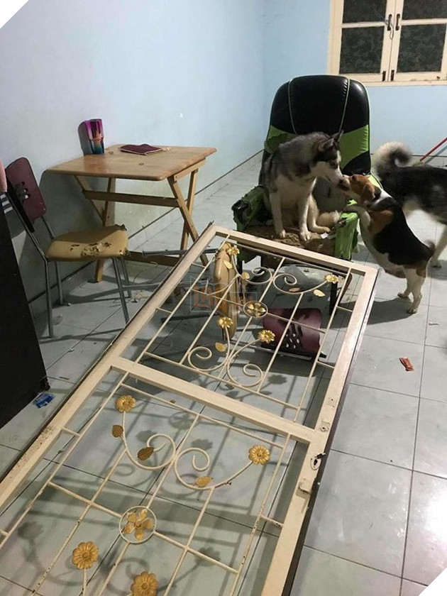 Kiếp Sen đáng thương: Boss đã quậy nát căn phòng mà còn có thái độ như thế này đây! 4