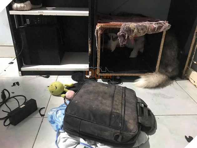 Kiếp Sen đáng thương: Boss đã quậy nát căn phòng mà còn có thái độ như thế này đây! 7