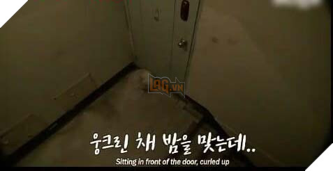 Chú chó hoang ngủ gật ở cầu thang chờ đợi tình thương hơi ấm của người qua đường 4