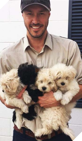 Khâm phục hành động và mơ ước của anh chàng ” Yêu Chó Nhất Thế Giới” 5