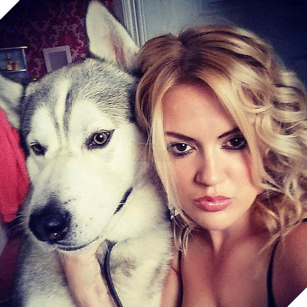 Chó Husky bị cảnh sát bắn chết vì tấn công cô giữ trẻ lạ mặt, cư dân mạng tranh cãi: Nó chỉ giữ nhà thôi mà? - Ảnh 1. Chó Husky bị cảnh sát bắn chết vì tấn công cô giữ trẻ lạ mặt, cư dân mạng tranh cãi: Nó chỉ giữ nhà thôi mà? - Ảnh 1.