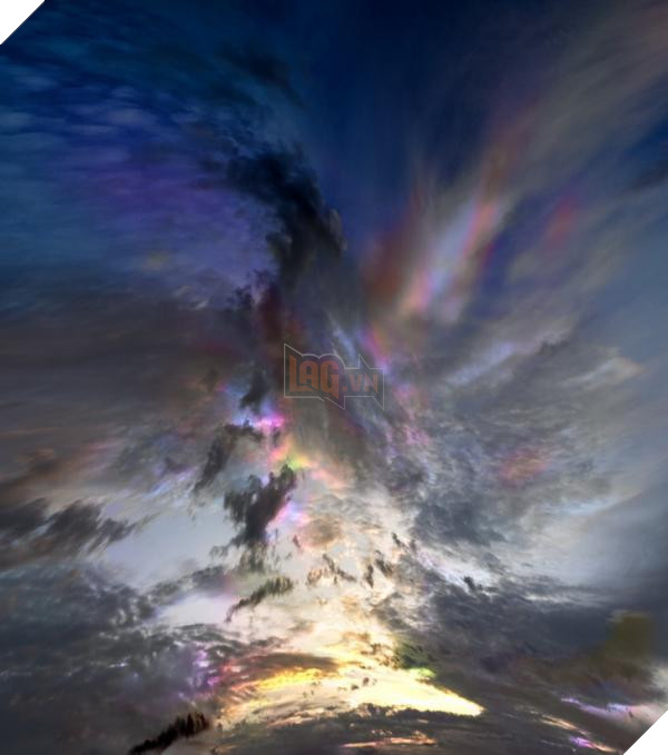 lost bird nhung buc anh ngac nhien 10