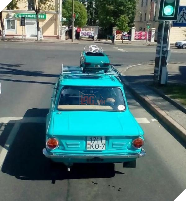 lost bird nhung buc anh ngac nhien 16