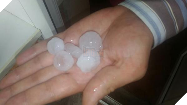 lost bird nhung buc anh ngac nhien 17