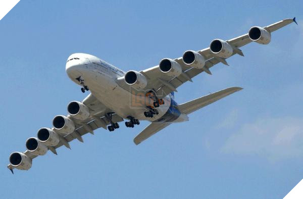 lost bird nhung buc anh ngac nhien 18