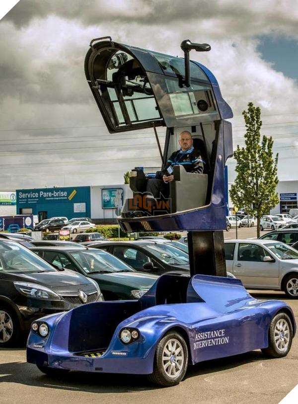 lost bird nhung buc anh ngac nhien 19