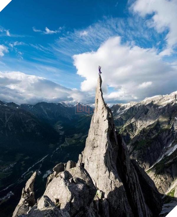 lost bird nhung buc anh ngac nhien 1