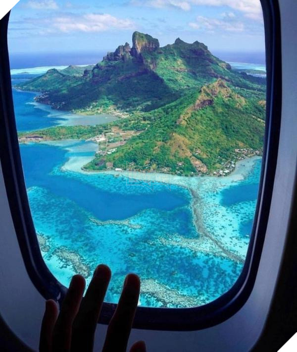 lost bird nhung buc anh ngac nhien 20