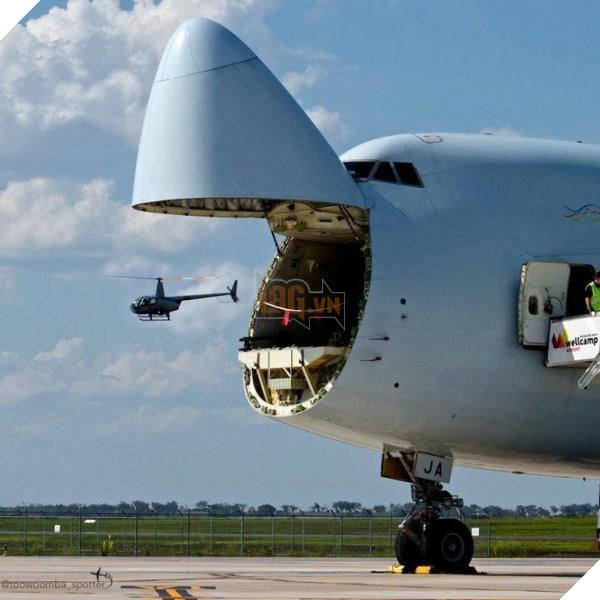 lost bird nhung buc anh ngac nhien 2