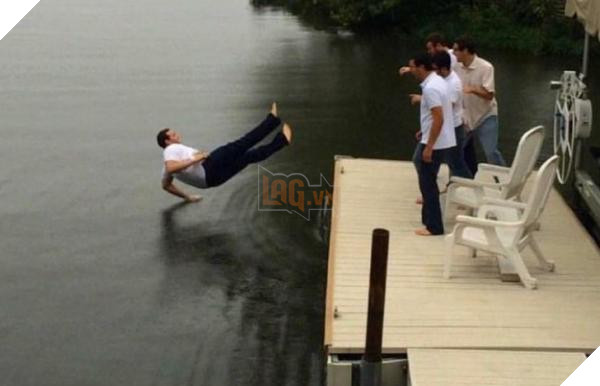 lost bird nhung buc anh ngac nhien 3