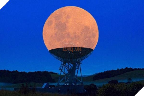 lost bird nhung buc anh ngac nhien 5