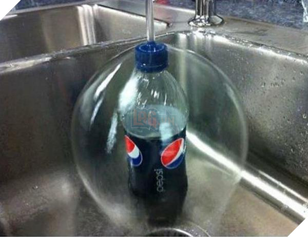 lost bird nhung buc anh ngac nhien 7