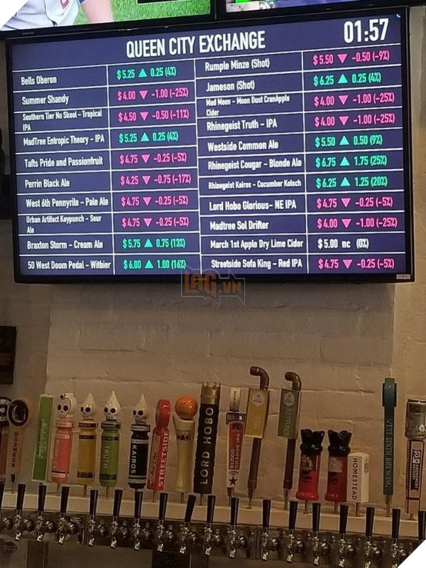 lost bird nhung buc anh ngac nhien 9