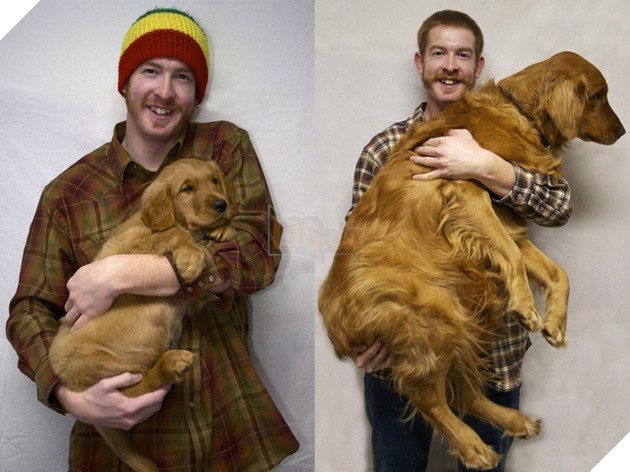 Cư dân mạng khoe ảnh cún cưng ngày ấy - bây giờ đầy cảm xúc, khiến chúng ta nhận ra thời gian trôi đi quá nhanh - Ảnh 5.