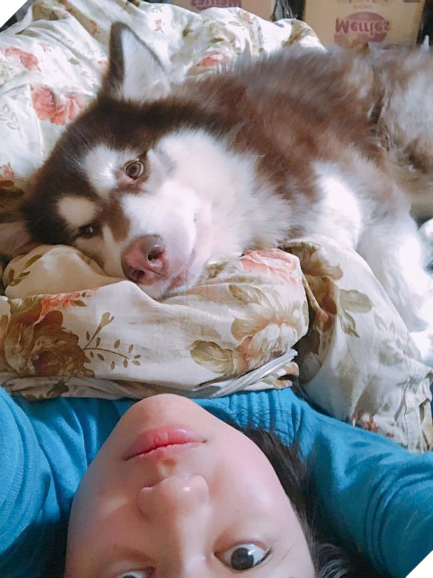 Ngoài kia trời trở lạnh, Boss ta tót ngay lên giường cùng các Sen 10