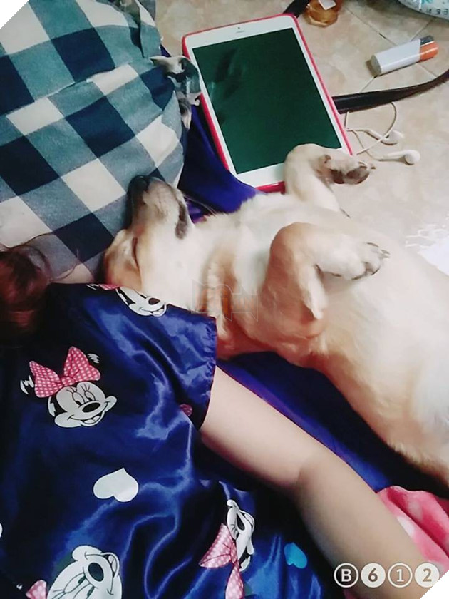 Ngoài kia trời trở lạnh, Boss ta tót ngay lên giường cùng các Sen 2