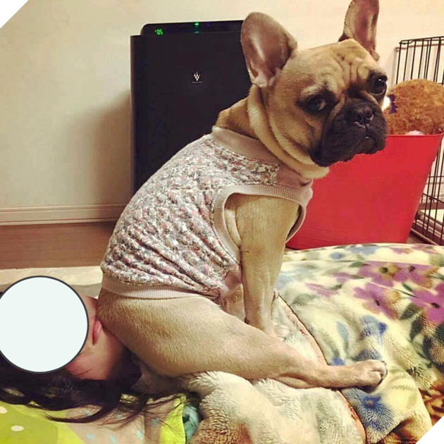 Ngoài kia trời trở lạnh, Boss ta tót ngay lên giường cùng các Sen 7