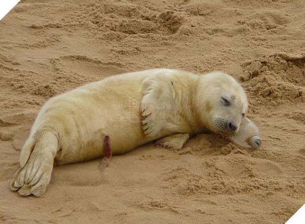 7918688 0 image m 18 1546048281479