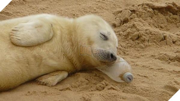 7918904 0 image a 19 1546048740573