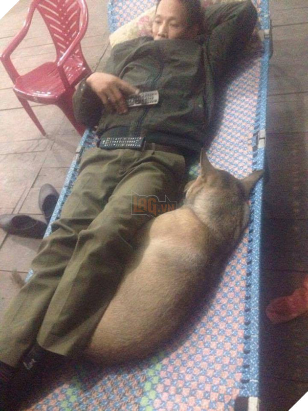 Ngoài kia trời trở lạnh, Boss ta tót ngay lên giường cùng các Sen 9