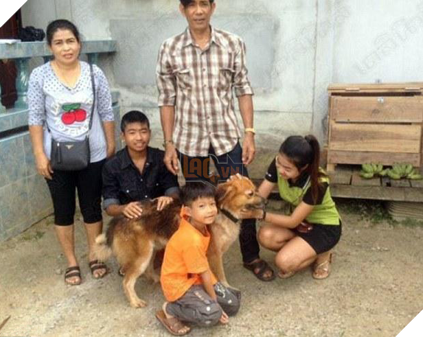 Chú chó trung thành ngồi 7 tháng ngoài vỉa hè đợi chủ và cái kết ấm lòng 4