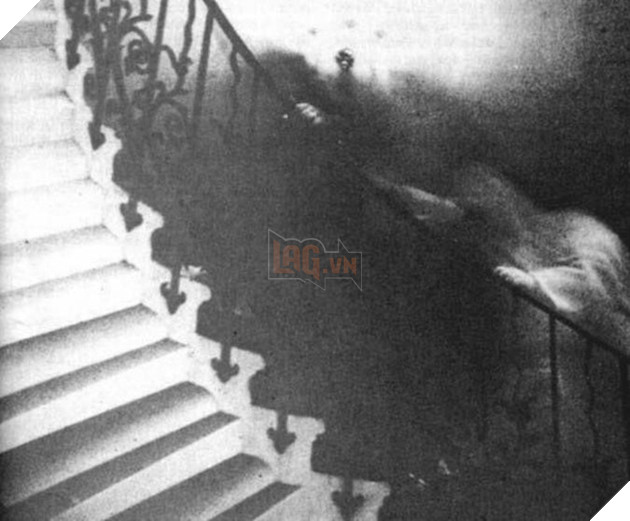 16 bức ảnh đáng sợ sẽ khiến bạn ám ảnh không ngừng vì sự kì dị của chúng - Ảnh 11.