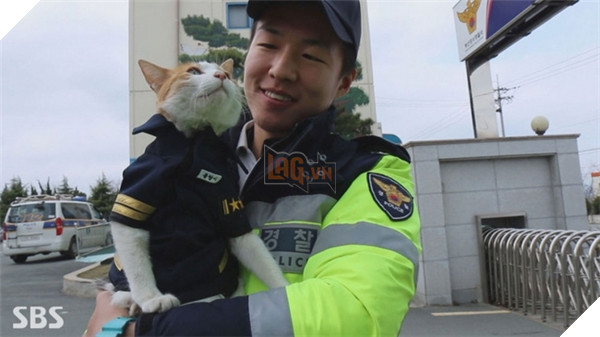 Câu chuyện về sở cảnh sát tại Hàn thu nạp “cảnh miêu” gây xúc động mạnh