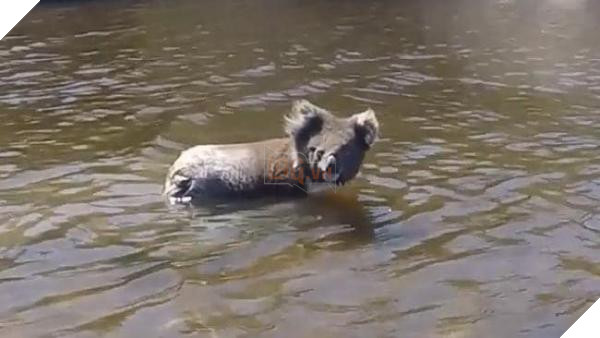 53a14b44dd10c067c3994cb2b36466b1