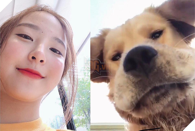 Giữa đêm đông lạnh giá, cô gái ôm chú cún đi lạc vòng quanh Hồ Tây, đứng suốt mấy tiếng đồng hồ để tìm chủ 4