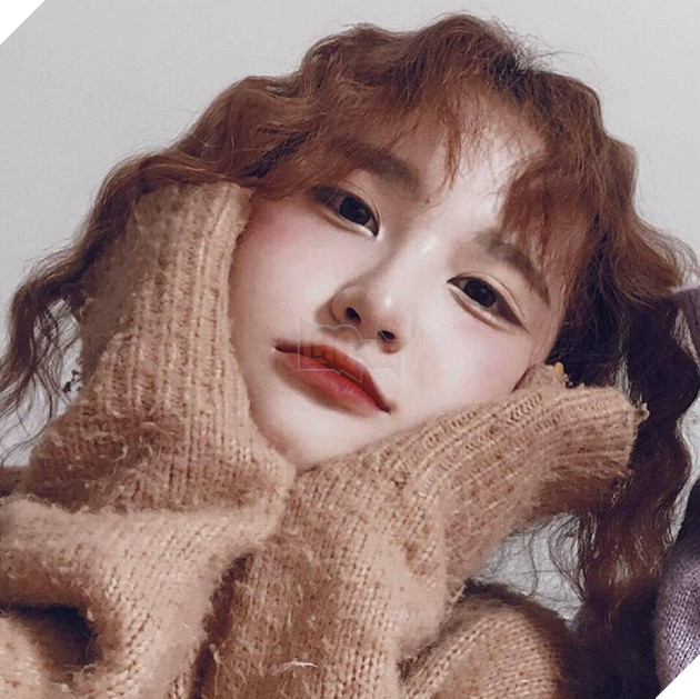 Giữa đêm đông lạnh giá, cô gái ôm chú cún đi lạc vòng quanh Hồ Tây, đứng suốt mấy tiếng đồng hồ để tìm chủ 5