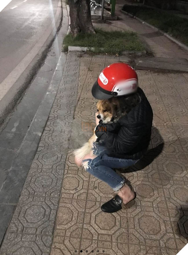 Giữa đêm đông lạnh giá, cô gái ôm chú cún đi lạc vòng quanh Hồ Tây, đứng suốt mấy tiếng đồng hồ để tìm chủ 3