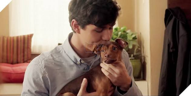 Review phim Đường về nhà của cún con: Lòng trung thành và yêu thương chân thật trên từng thước phim 4