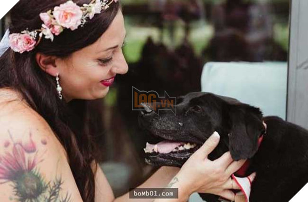 chú chó labrador tham dự hôn lễ của chủ nhân