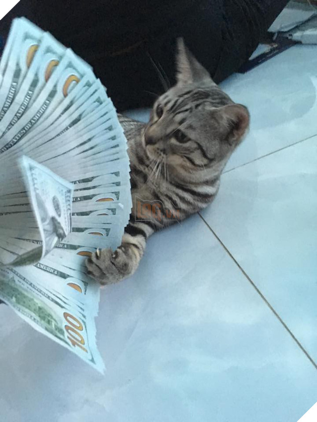 Sẽ thế nào khi tết năm nay bạn thất thu lì xì? Đây là bộ mặt Boss của chúng ta 9