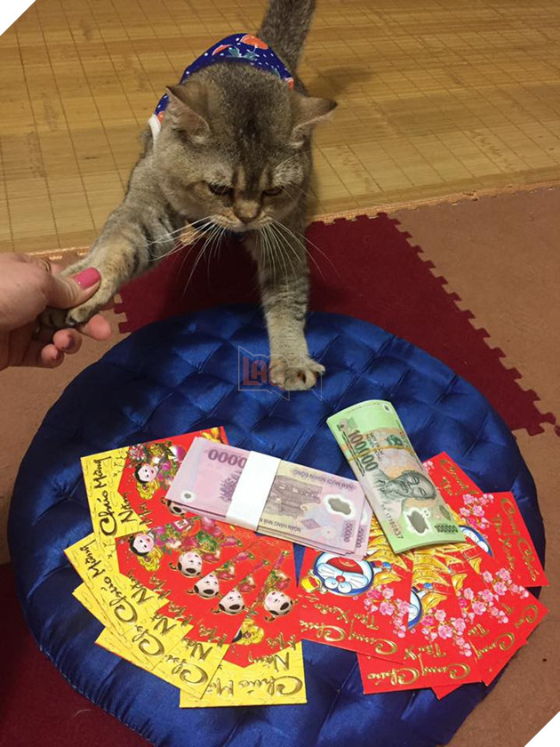 Sẽ thế nào khi tết năm nay bạn thất thu lì xì? Đây là bộ mặt Boss của chúng ta 6