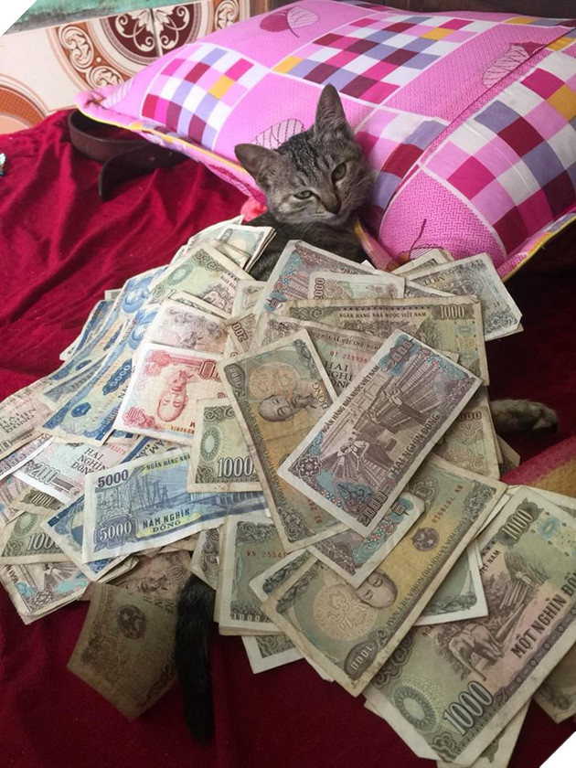 Sẽ thế nào khi tết năm nay bạn thất thu lì xì? Đây là bộ mặt Boss của chúng ta 13