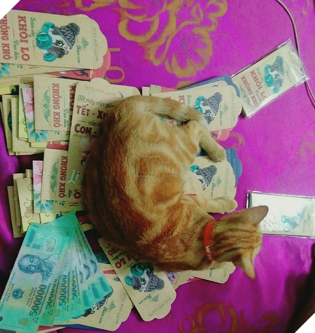 Sẽ thế nào khi tết năm nay bạn thất thu lì xì? Đây là bộ mặt Boss của chúng ta 8