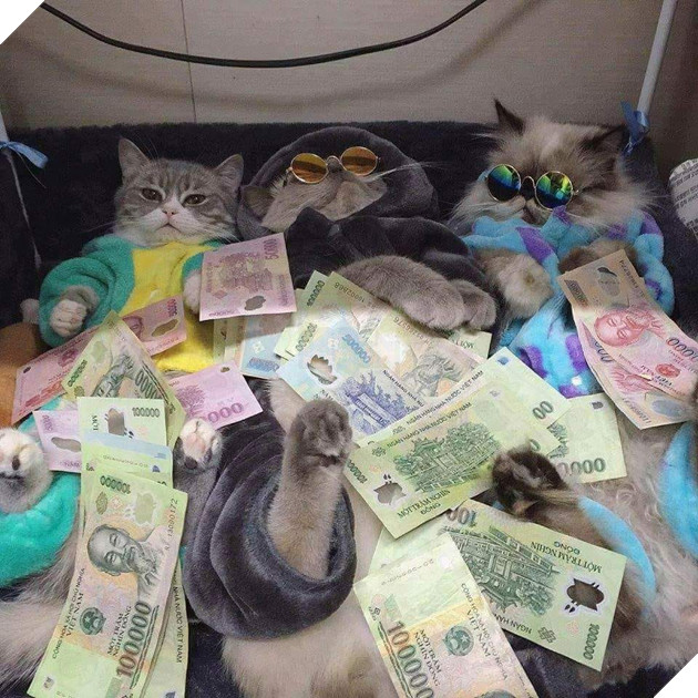 Sẽ thế nào khi tết năm nay bạn thất thu lì xì? Đây là bộ mặt Boss của chúng ta 14