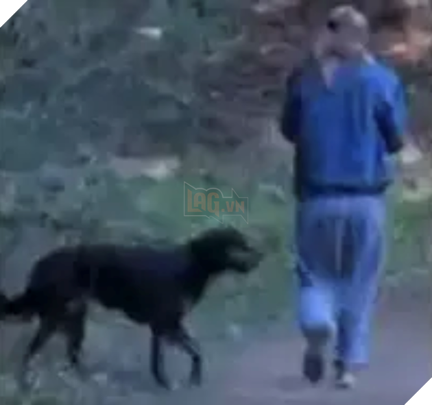 Ẩu đả oái oăm: Cô gái xịt hơi cay vào chó dữ, bị chủ chó chặn đường cắn chảy máu tay trả thù - Ảnh 2.