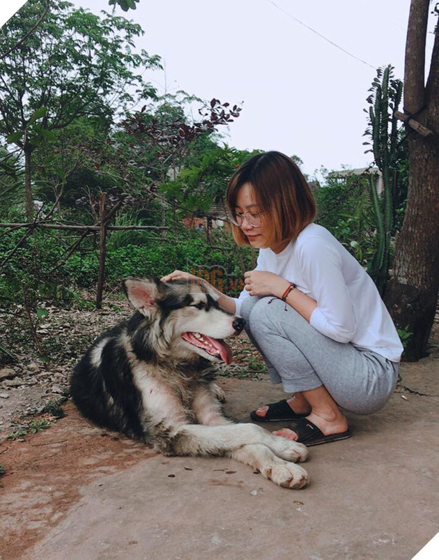 Không thể éo le hơn: Ôm boss ngồi thùng xe để chuyển nhà, cô bạn dễ thương bị nhầm là... trộm chó - Ảnh 9. Không thể éo le hơn: Ôm boss ngồi thùng xe để chuyển nhà, cô bạn dễ thương bị nhầm là... trộm chó - Ảnh 9.
