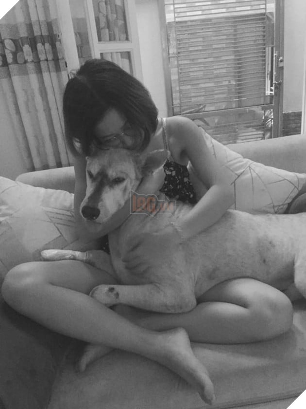 Không thể éo le hơn: Ôm boss ngồi thùng xe để chuyển nhà, cô bạn dễ thương bị nhầm là... trộm chó - Ảnh 9. Không thể éo le hơn: Ôm boss ngồi thùng xe để chuyển nhà, cô bạn dễ thương bị nhầm là... trộm chó - Ảnh 9.