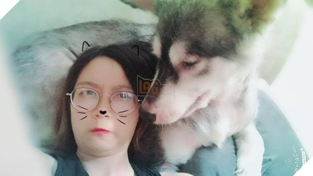 Không thể éo le hơn: Ôm boss ngồi thùng xe để chuyển nhà, cô bạn dễ thương bị nhầm là... trộm chó - Ảnh 9. Không thể éo le hơn: Ôm boss ngồi thùng xe để chuyển nhà, cô bạn dễ thương bị nhầm là... trộm chó - Ảnh 9.