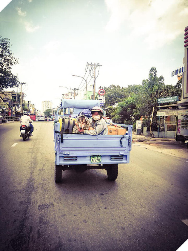 Không thể éo le hơn: Ôm boss ngồi thùng xe để chuyển nhà, cô bạn dễ thương bị nhầm là... trộm chó - Ảnh 2. Không thể éo le hơn: Ôm boss ngồi thùng xe để chuyển nhà, cô bạn dễ thương bị nhầm là... trộm chó - Ảnh 2.