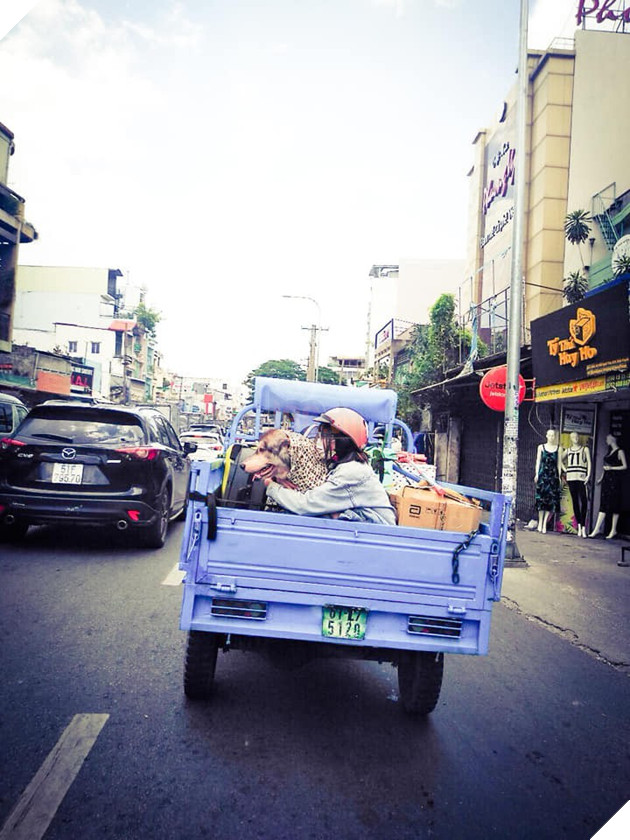 Ôm boss ngồi thùng xe để chuyển nhà, cô bạn dễ thương bị nhầm là... trộm chó khiến dân mạng cười bò - Ảnh 1. Ôm boss ngồi thùng xe để chuyển nhà, cô bạn dễ thương bị nhầm là... trộm chó khiến dân mạng cười bò - Ảnh 1.