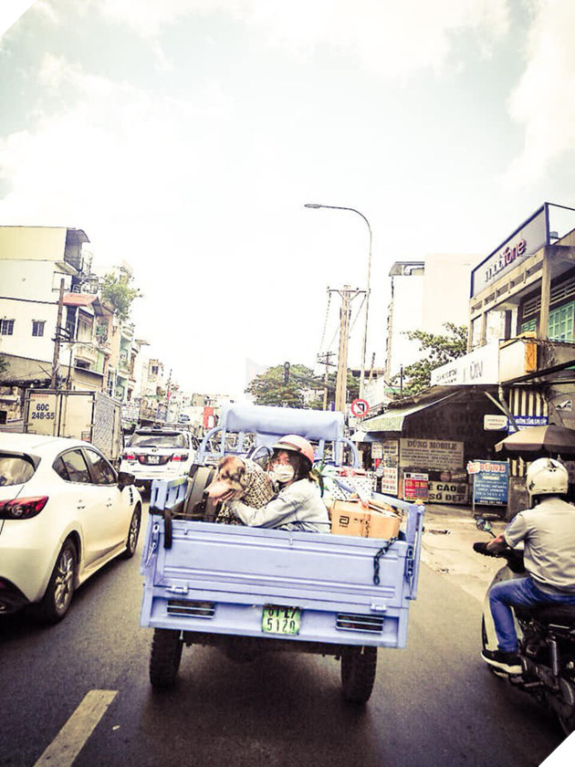 Không thể éo le hơn: Ôm boss ngồi thùng xe để chuyển nhà, cô bạn dễ thương bị nhầm là... trộm chó - Ảnh 2. Không thể éo le hơn: Ôm boss ngồi thùng xe để chuyển nhà, cô bạn dễ thương bị nhầm là... trộm chó - Ảnh 2.