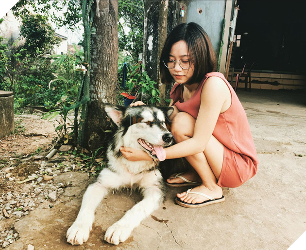 Ôm boss ngồi thùng xe để chuyển nhà, cô bạn dễ thương bị nhầm là... trộm chó khiến dân mạng cười bò - Ảnh 7. Ôm boss ngồi thùng xe để chuyển nhà, cô bạn dễ thương bị nhầm là... trộm chó khiến dân mạng cười bò - Ảnh 7.