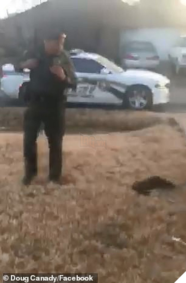 Bị l&#234;n &#225;n v&#236; bắn ch&#243; của người d&#226;n, anh cảnh s&#225;t Mỹ thanh minh &quot;T&#244;i chỉ bắn th&#244;i, vi&#234;n đạn tự bay v&#224;o đầu n&#243; đấy chứ&quot; - Ảnh 3.