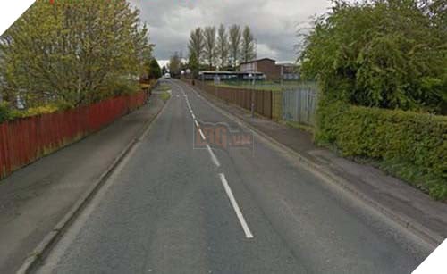 Chú chó trung thành tấn công kẻ hiếp dâm để bảo vệ cô chủ